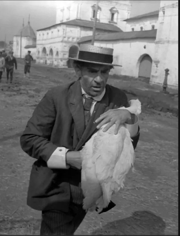 Позитивчик (фото, видео, рассказы для хорошего настроения)