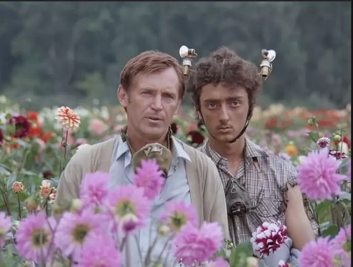 Позитивчик (фото, видео, рассказы для хорошего настроения)