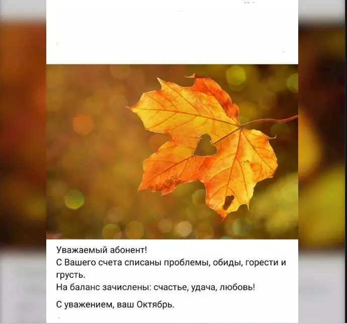 Позитивчик (фото, видео, рассказы для хорошего настроения)