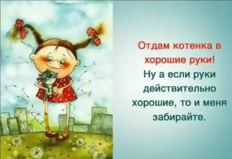 Позитивчик (фото, видео, рассказы для хорошего настроения)