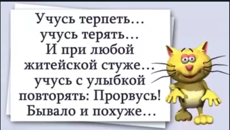 Позитивчик (фото, видео, рассказы для хорошего настроения)