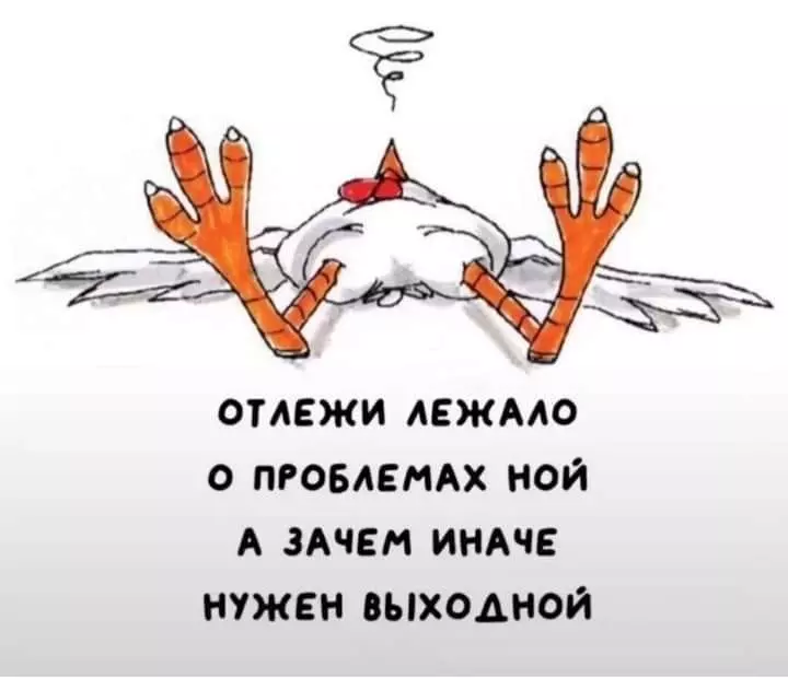 Позитивчик (фото, видео, рассказы для хорошего настроения)