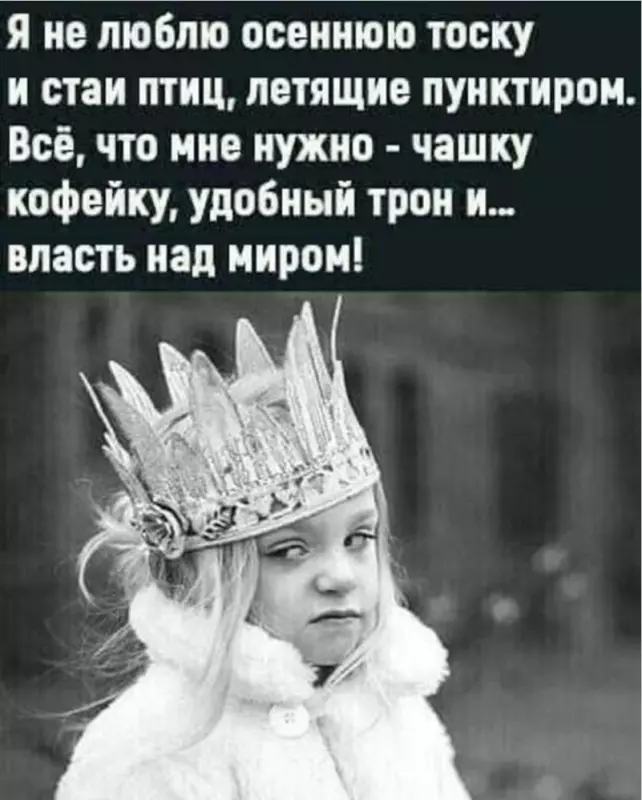 Позитивчик (фото, видео, рассказы для хорошего настроения)