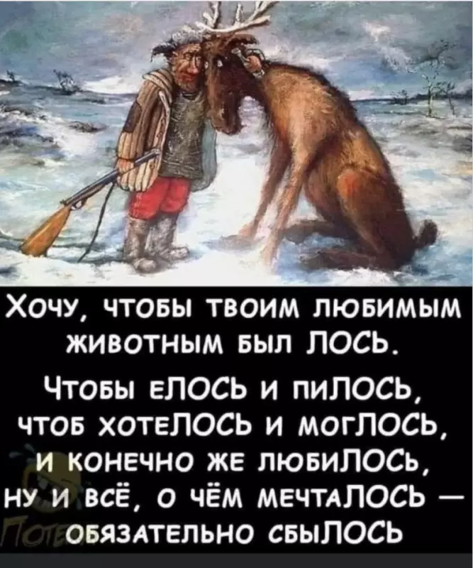 Позитивчик (фото, видео, рассказы для хорошего настроения)