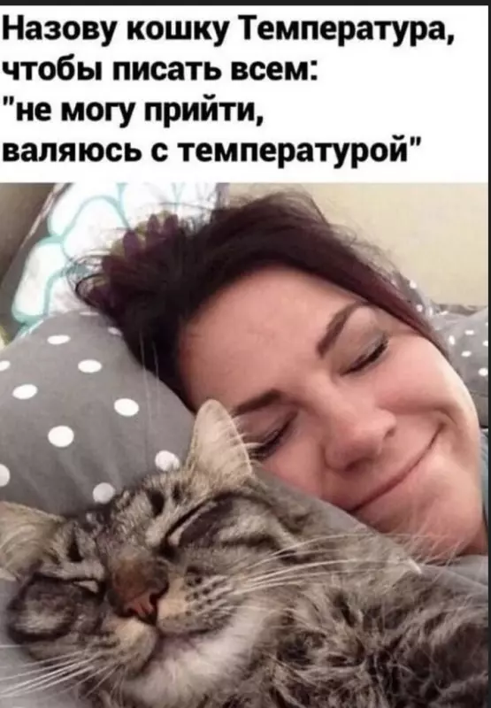 Позитивчик (фото, видео, рассказы для хорошего настроения)