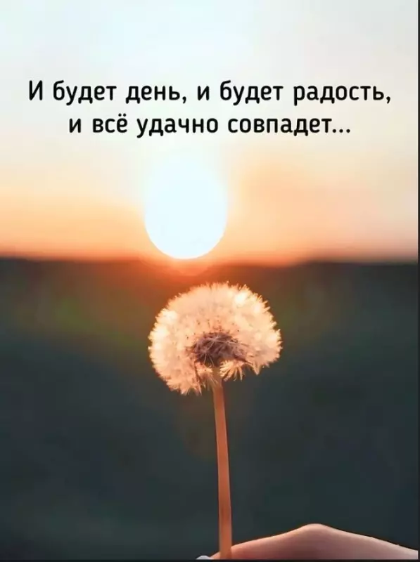 Позитивчик (фото, видео, рассказы для хорошего настроения)