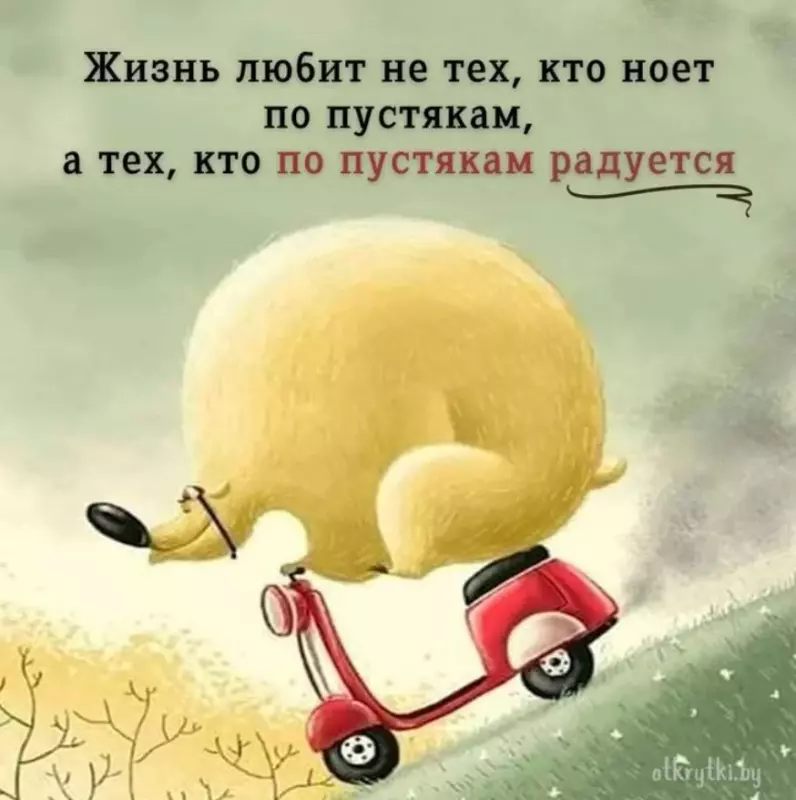 Позитивчик (фото, видео, рассказы для хорошего настроения)