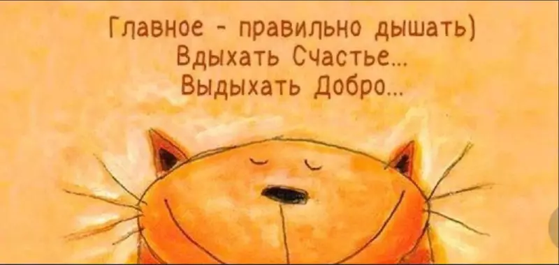 Позитивчик (фото, видео, рассказы для хорошего настроения)