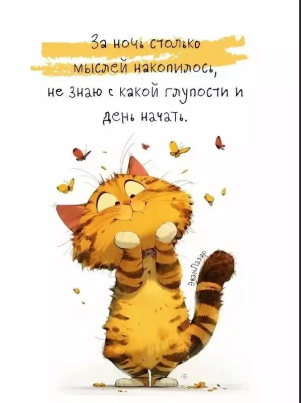 Позитивчик (фото, видео, рассказы для хорошего настроения)