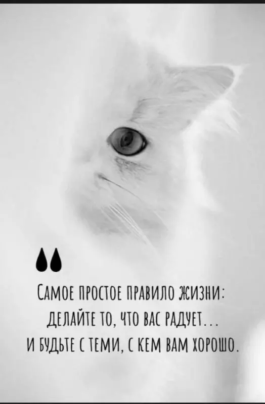 Позитивчик (фото, видео, рассказы для хорошего настроения)