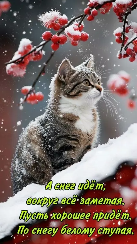 Позитивчик (фото, видео, рассказы для хорошего настроения)