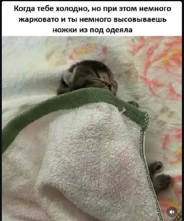 Позитивчик (фото, видео, рассказы для хорошего настроения)