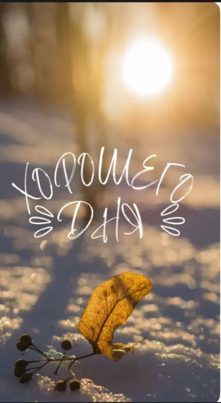 Позитивчик (фото, видео, рассказы для хорошего настроения)