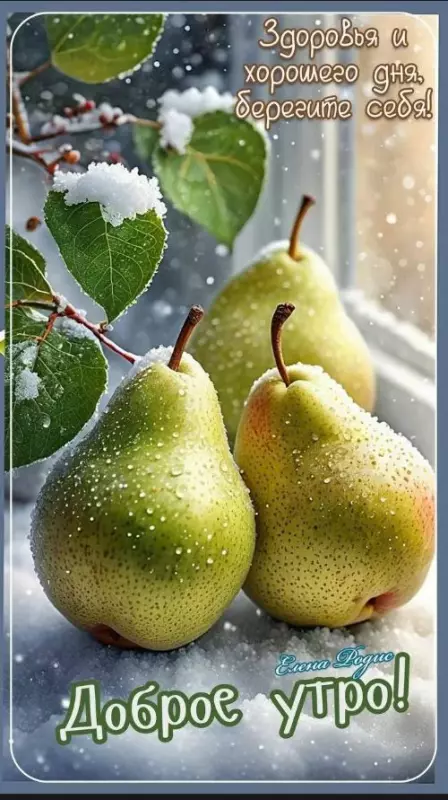 Позитивчик (фото, видео, рассказы для хорошего настроения)