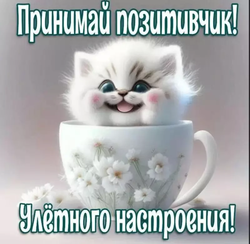 Позитивчик (фото, видео, рассказы для хорошего настроения)