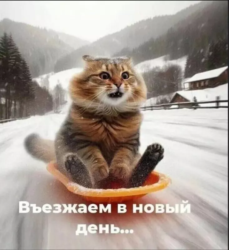 Позитивчик (фото, видео, рассказы для хорошего настроения)