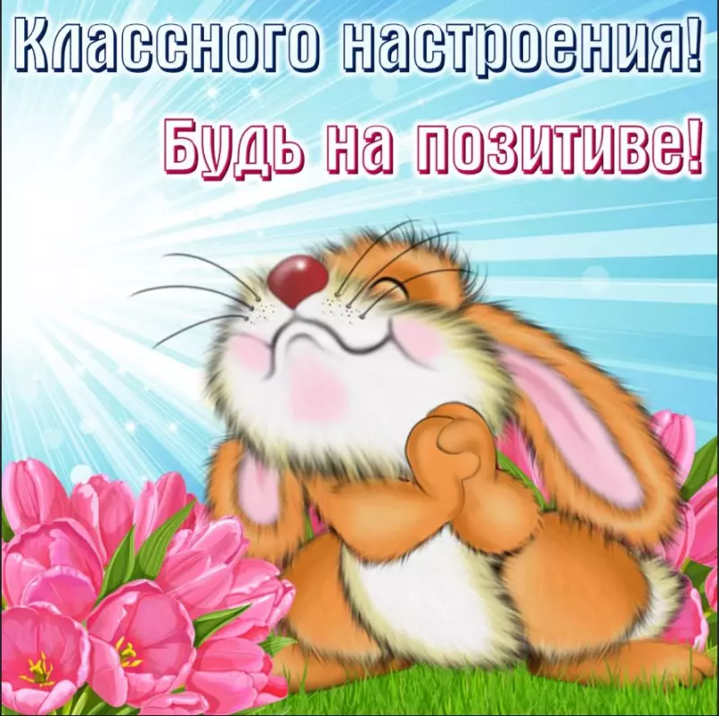 Позитивчик (фото, видео, рассказы для хорошего настроения)