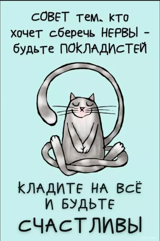 Позитивчик (фото, видео, рассказы для хорошего настроения)