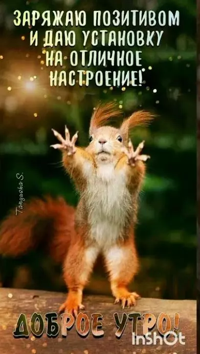 Позитивчик (фото, видео, рассказы для хорошего настроения)