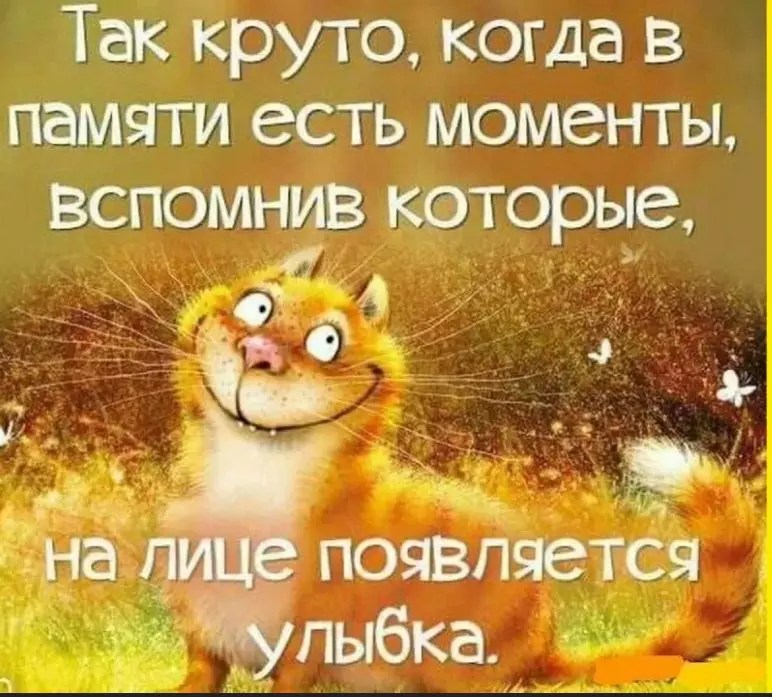 Позитивчик (фото, видео, рассказы для хорошего настроения)