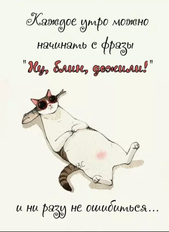 Позитивчик (фото, видео, рассказы для хорошего настроения)