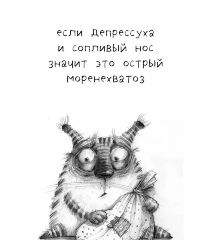 Позитивчик (фото, видео, рассказы для хорошего настроения)