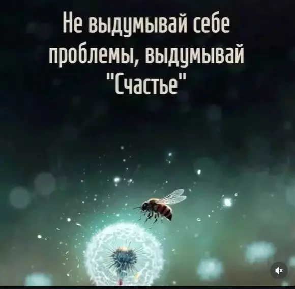 Позитивчик (фото, видео, рассказы для хорошего настроения)