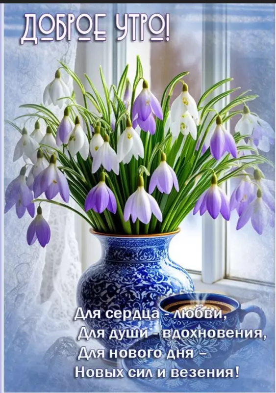 Позитивчик (фото, видео, рассказы для хорошего настроения)