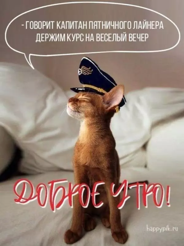 Позитивчик (фото, видео, рассказы для хорошего настроения)