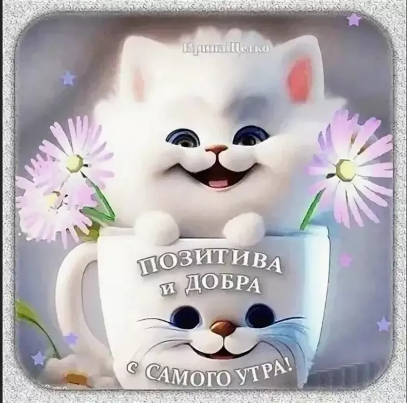 Позитивчик (фото, видео, рассказы для хорошего настроения)