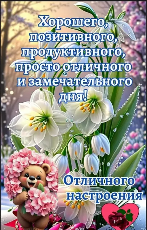 Позитивчик (фото, видео, рассказы для хорошего настроения)