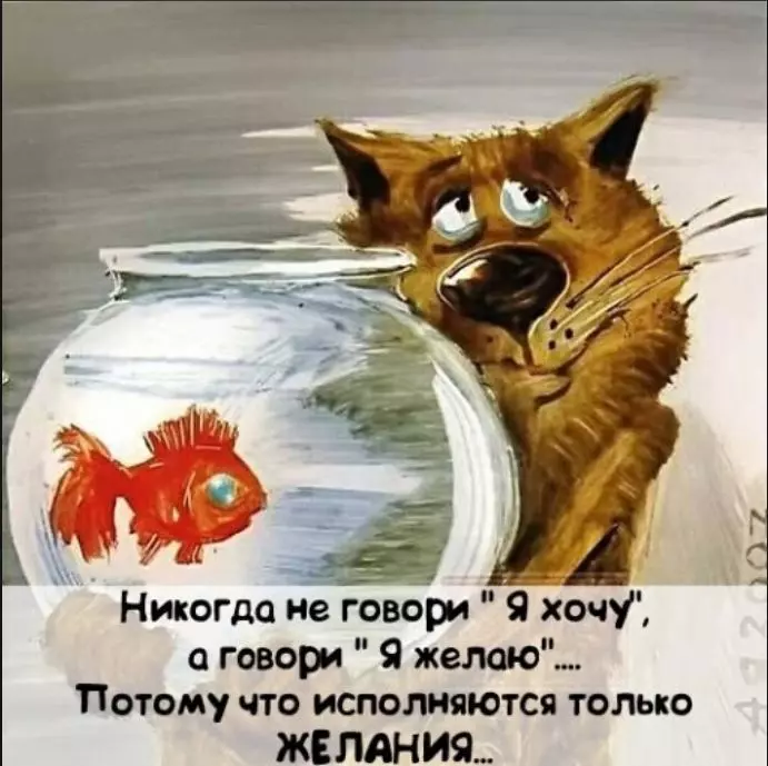 Позитивчик (фото, видео, рассказы для хорошего настроения)