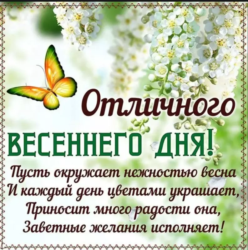 Позитивчик (фото, видео, рассказы для хорошего настроения)