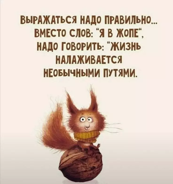 Позитивчик (фото, видео, рассказы для хорошего настроения)