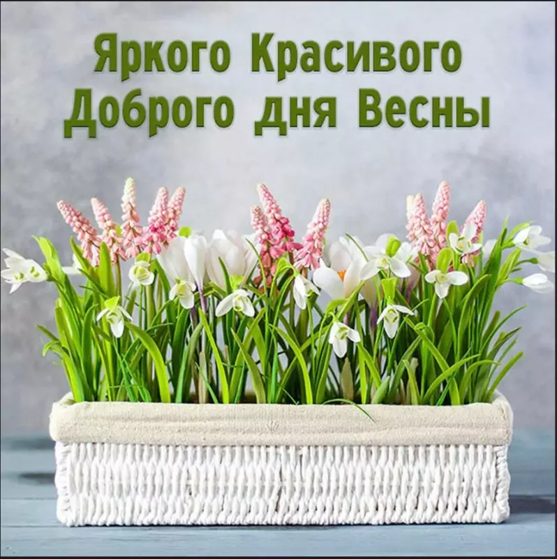 Позитивчик (фото, видео, рассказы для хорошего настроения)