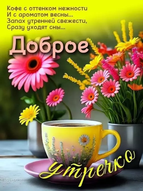 Позитивчик (фото, видео, рассказы для хорошего настроения)