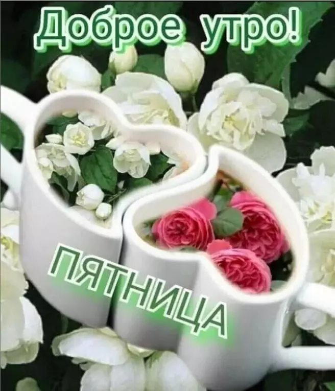 Позитивчик (фото, видео, рассказы для хорошего настроения)