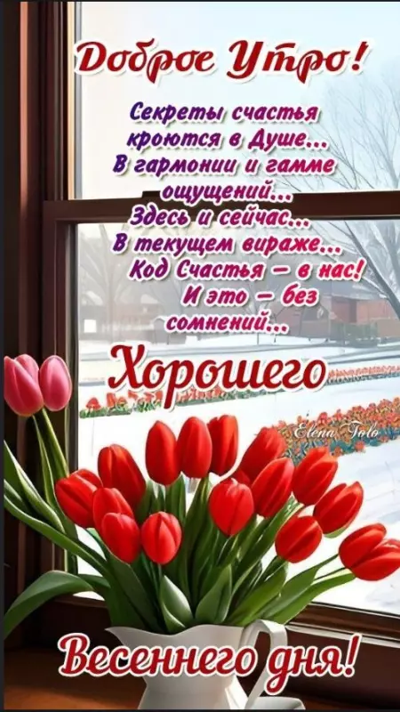 Позитивчик (фото, видео, рассказы для хорошего настроения)