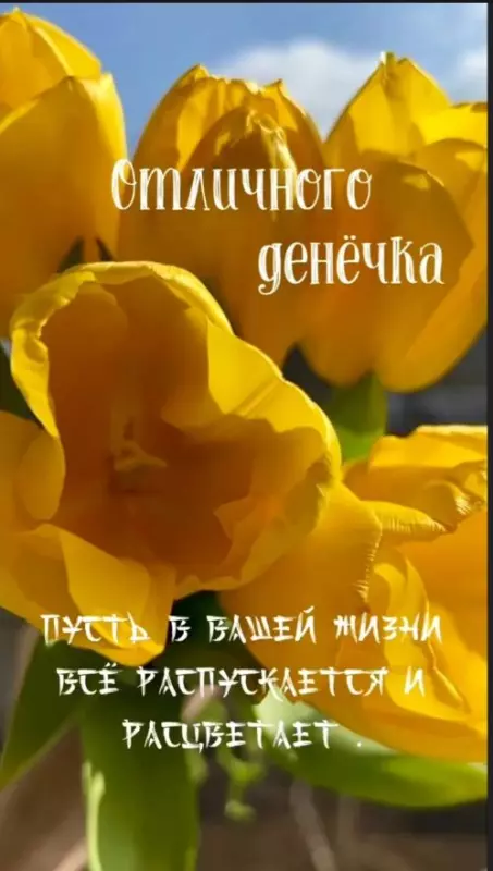 Позитивчик (фото, видео, рассказы для хорошего настроения)