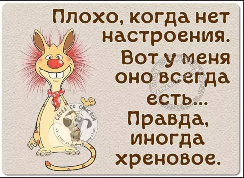 Позитивчик (фото, видео, рассказы для хорошего настроения)