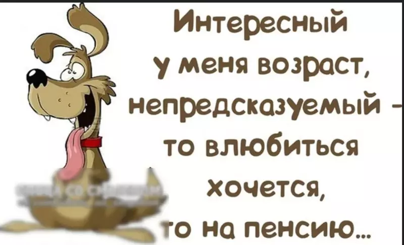Позитивчик (фото, видео, рассказы для хорошего настроения)