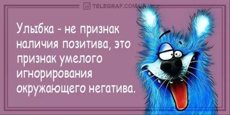 Позитивчик (фото, видео, рассказы для хорошего настроения)