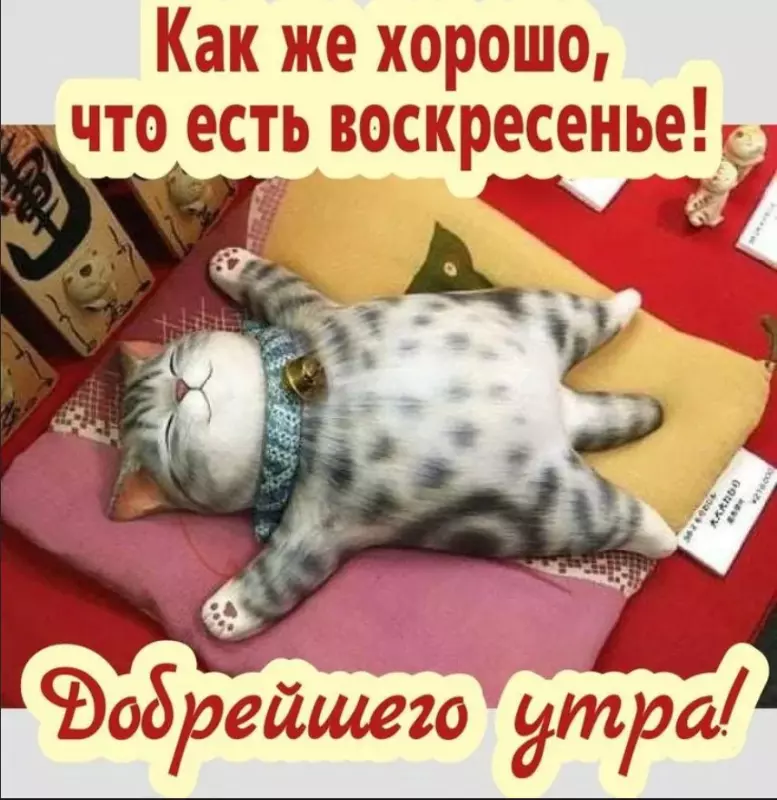 Позитивчик (фото, видео, рассказы для хорошего настроения)