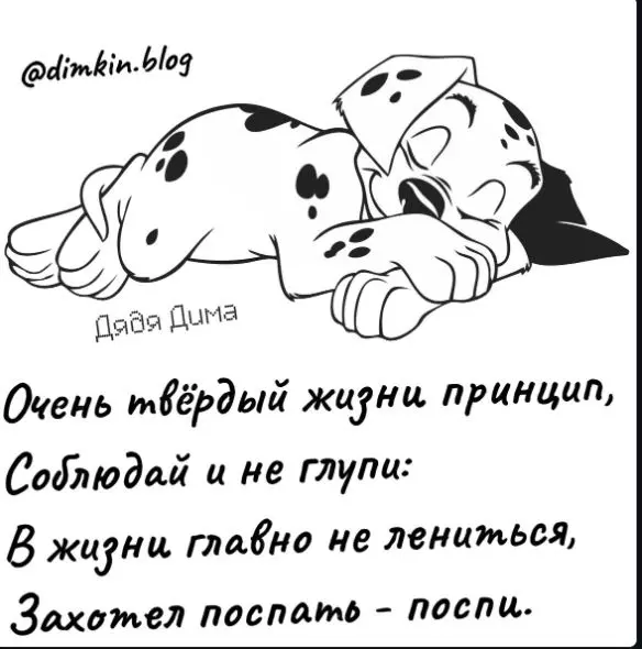 Позитивчик (фото, видео, рассказы для хорошего настроения)