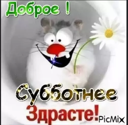 Позитивчик (фото, видео, рассказы для хорошего настроения)