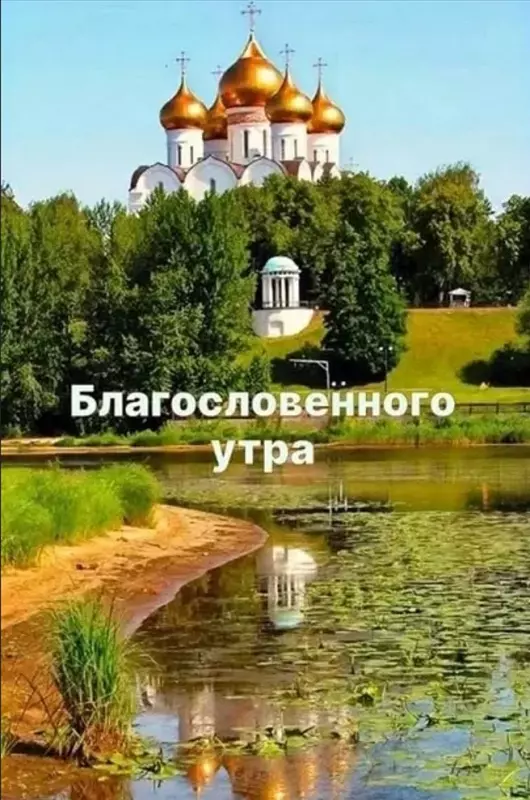 Позитивчик (фото, видео, рассказы для хорошего настроения)