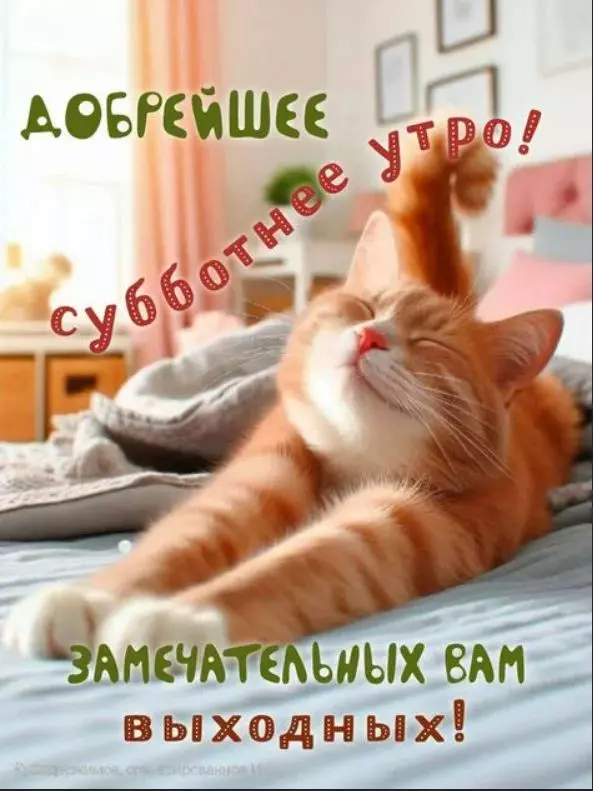 Позитивчик (фото, видео, рассказы для хорошего настроения)