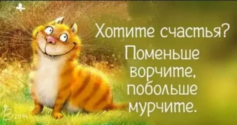 Позитивчик (фото, видео, рассказы для хорошего настроения)