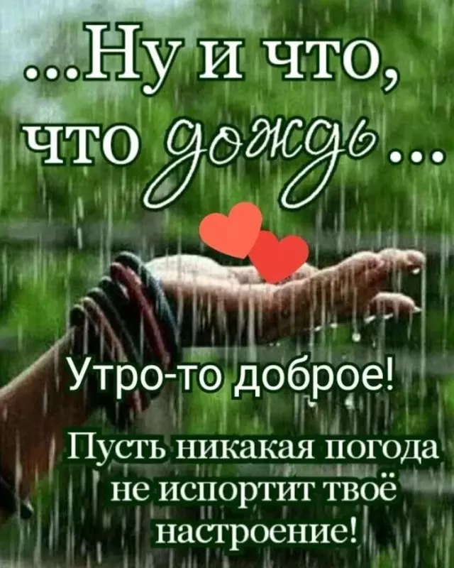 Позитивчик (фото, видео, рассказы для хорошего настроения)