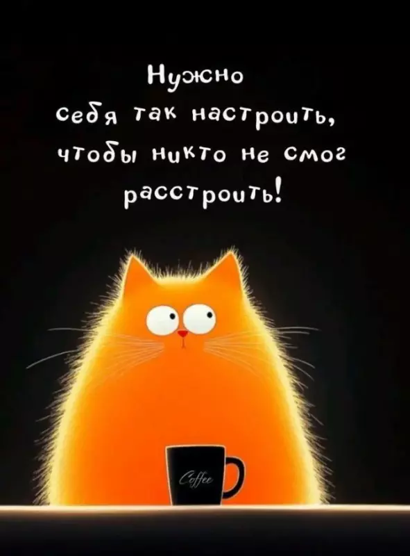 Позитивчик (фото, видео, рассказы для хорошего настроения)